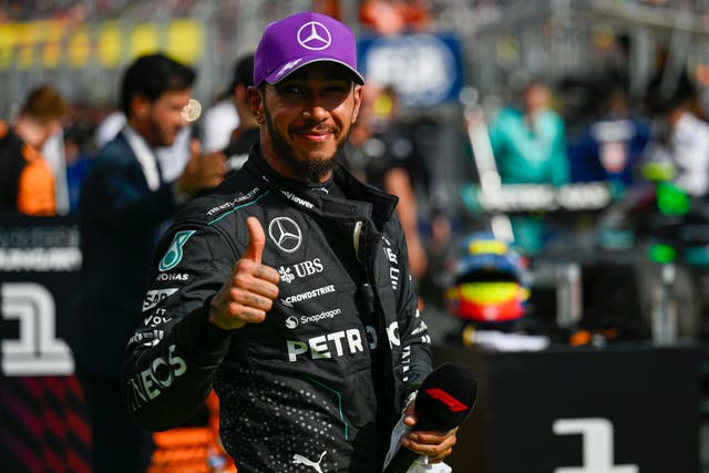 Lewis Hamilton celebrates finishing third in Hungary (Denes Erdos/AP)