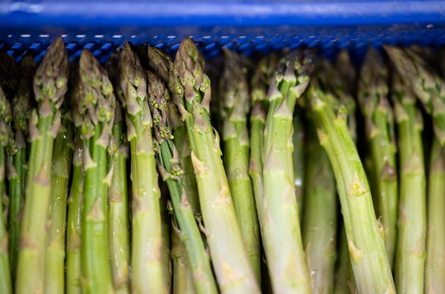 <p>Asparagus fortune teller predicted Biden quitting presidential race.</p>