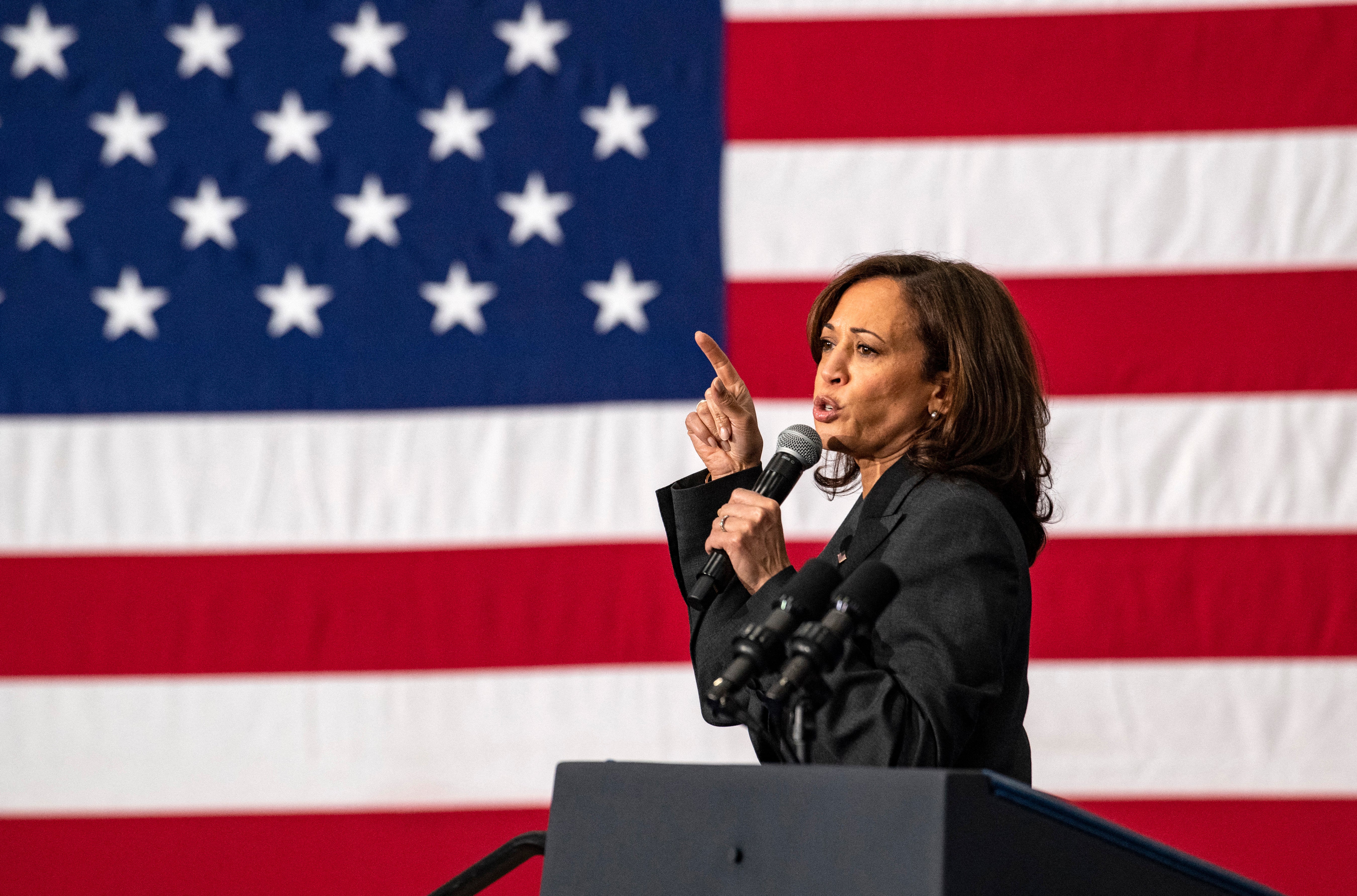 Kamala Harris has vowed to take on Trump in the November election