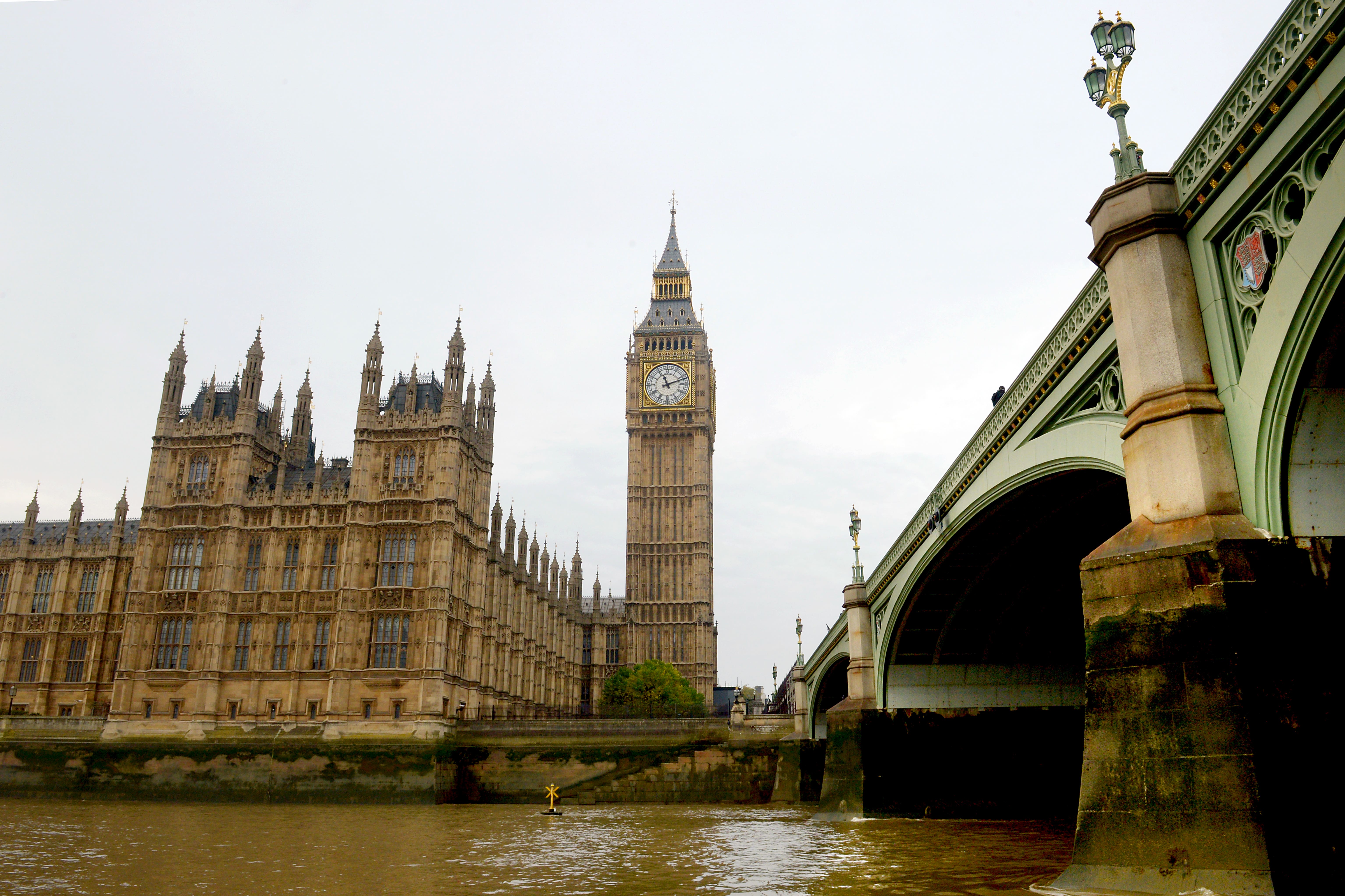 The think tank Demos has called for the public to play a greater role in policy making under the new Government (Anthony Devlin/PA)