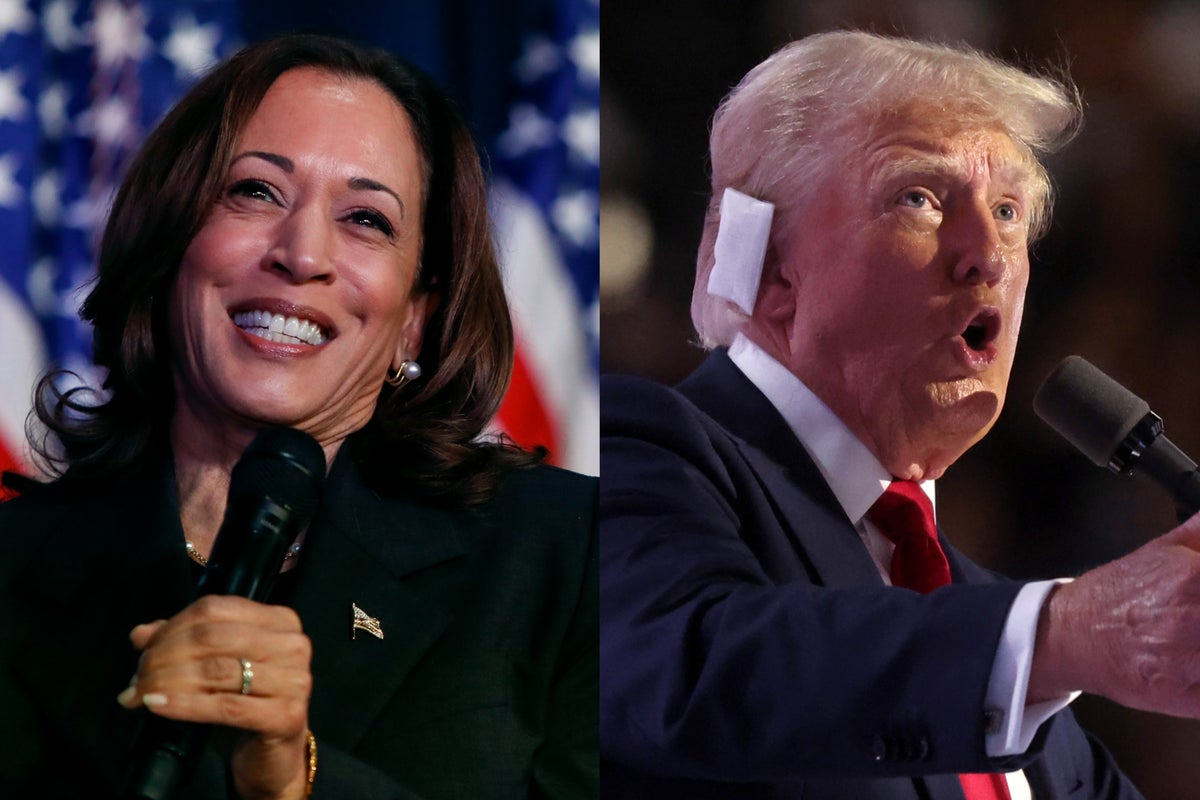 Voices: Anyone thinking of voting for Trump over Kamala Harris should consider this…
