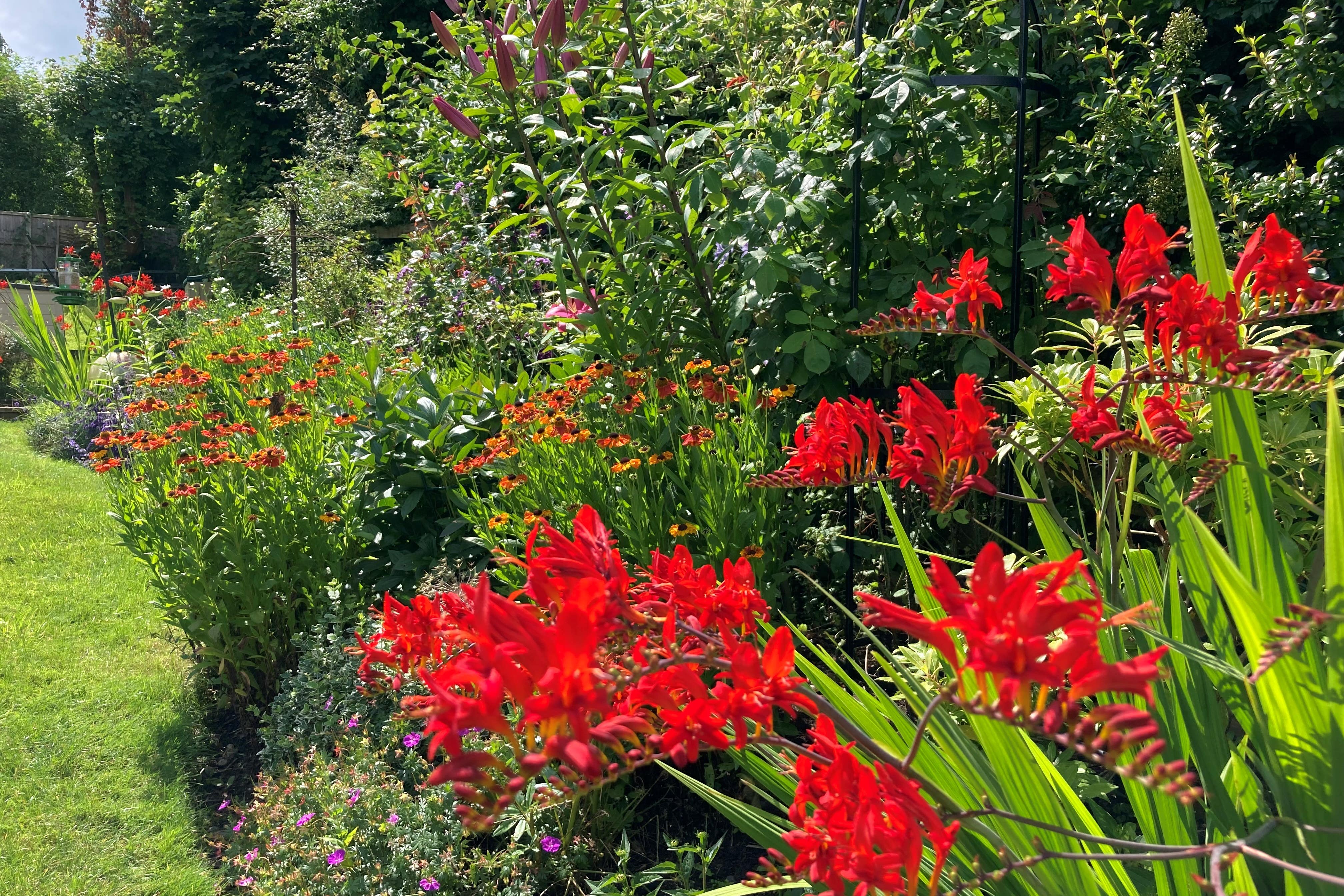 Keep your garden a riot of colour into autumn (Hannah Stephenson/PA)