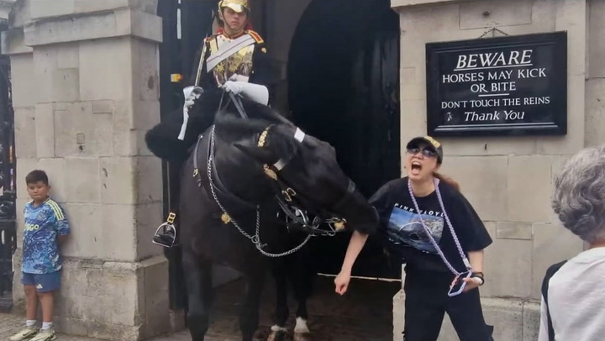 Tourist collapses after King’s Guard horse bites her during photo attempt