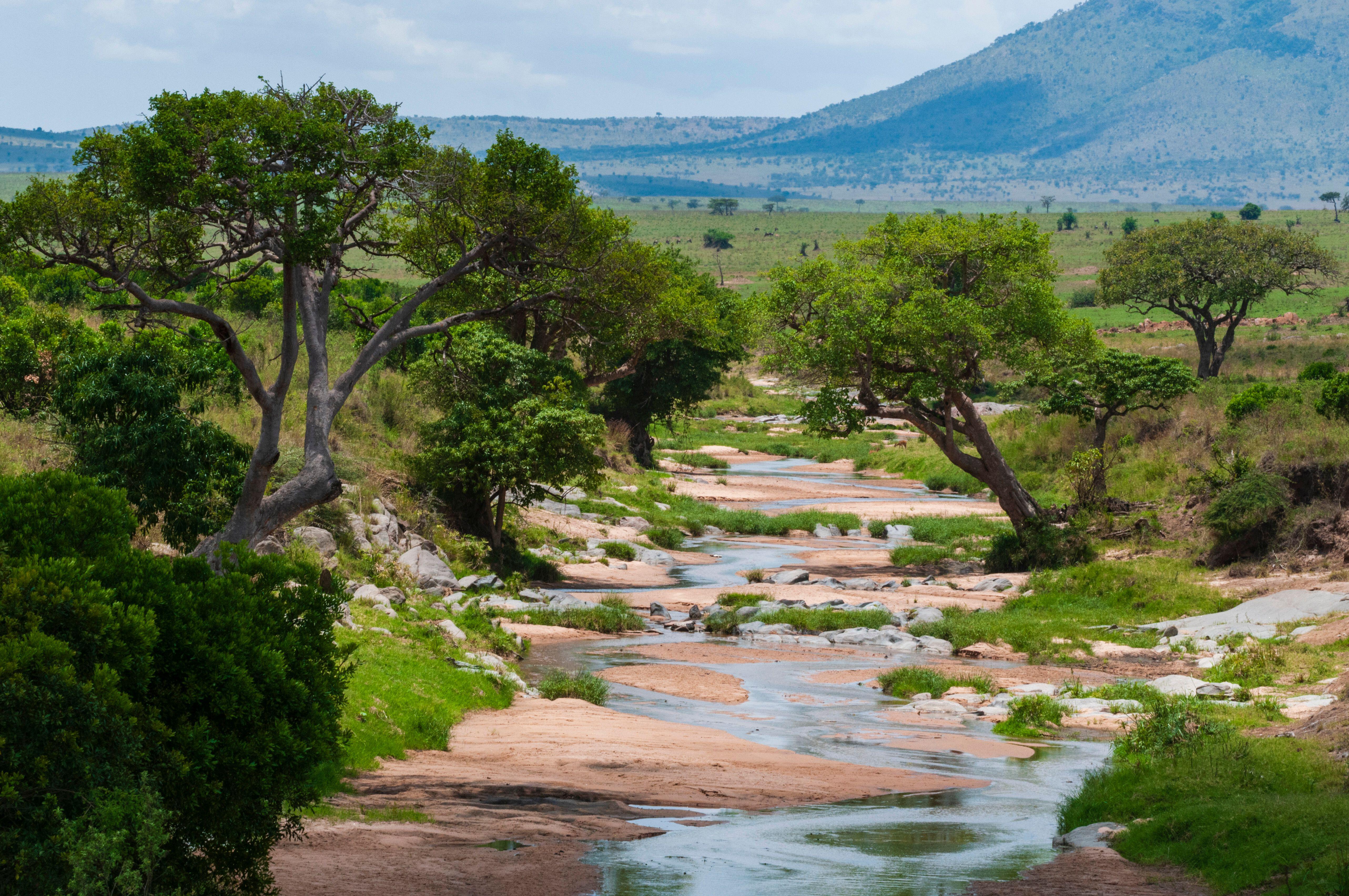 The Talek is one of the seasonal rivers that drain the Maasai Mara