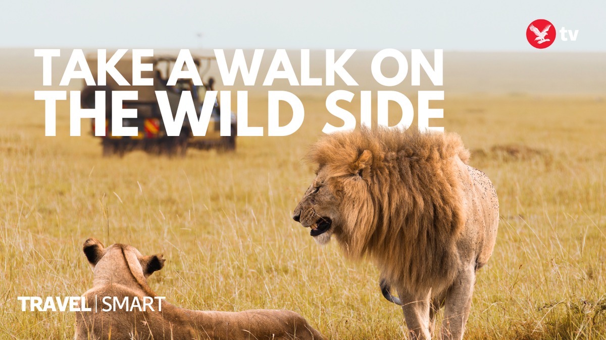 Go to where the wild things are with a safari holiday