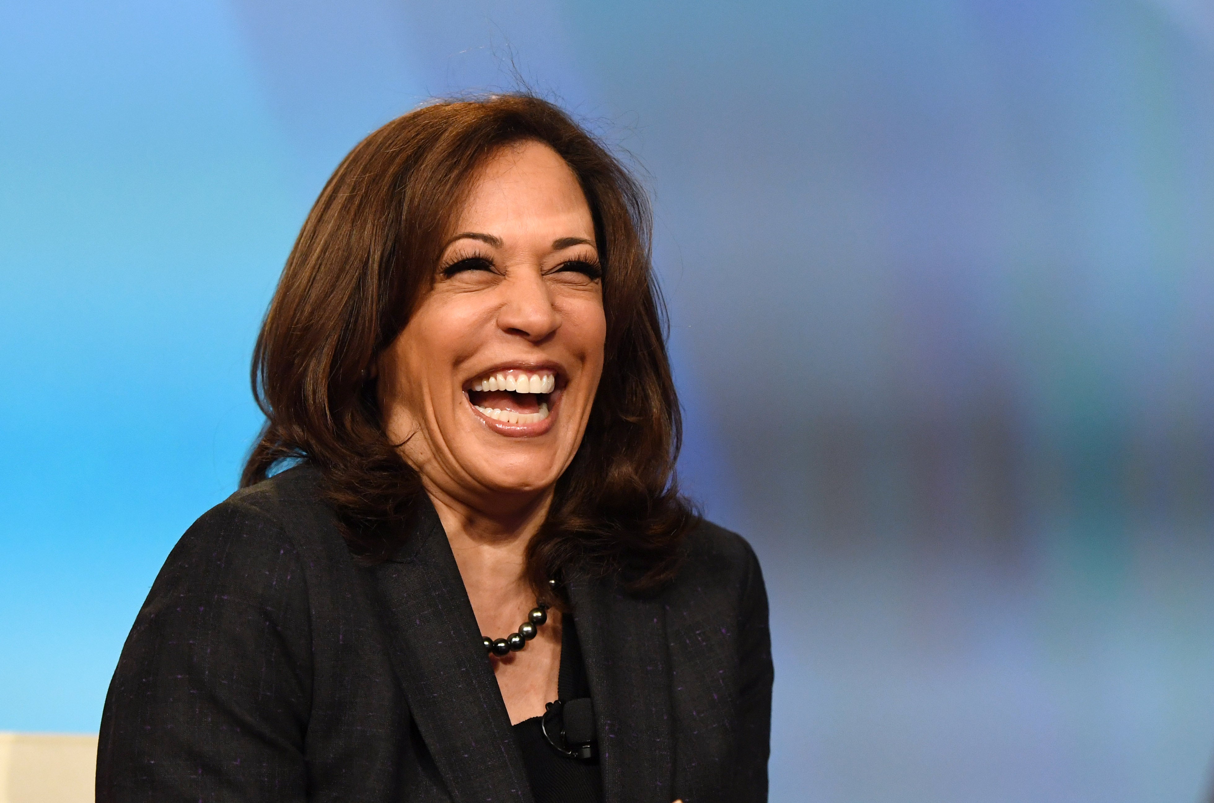 Vice President Kamala Harris annouced she will seek the Democratic nomination on Sunday