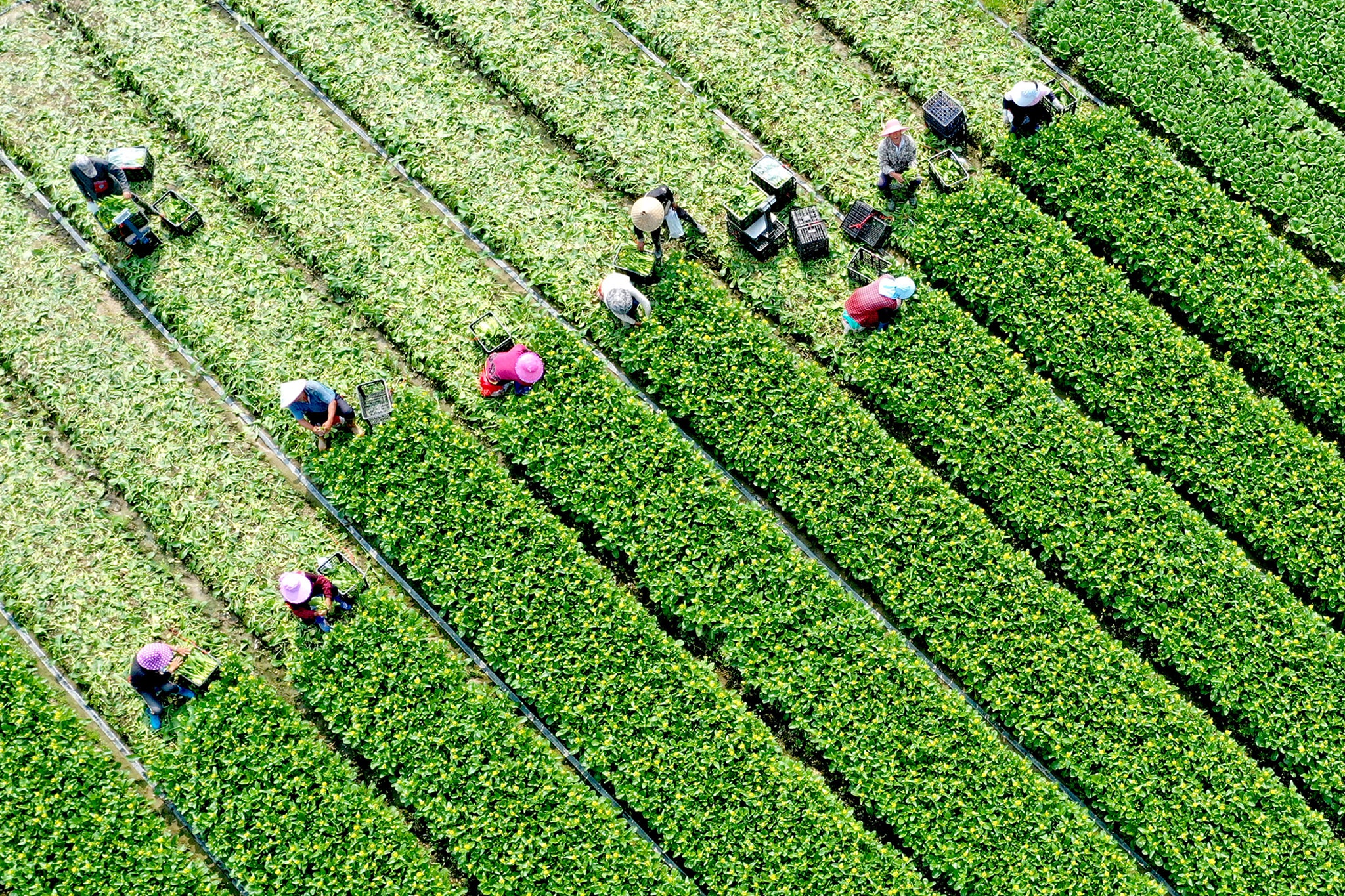 Sustainable farming is one of the quiet ways people are picking up the climate fight