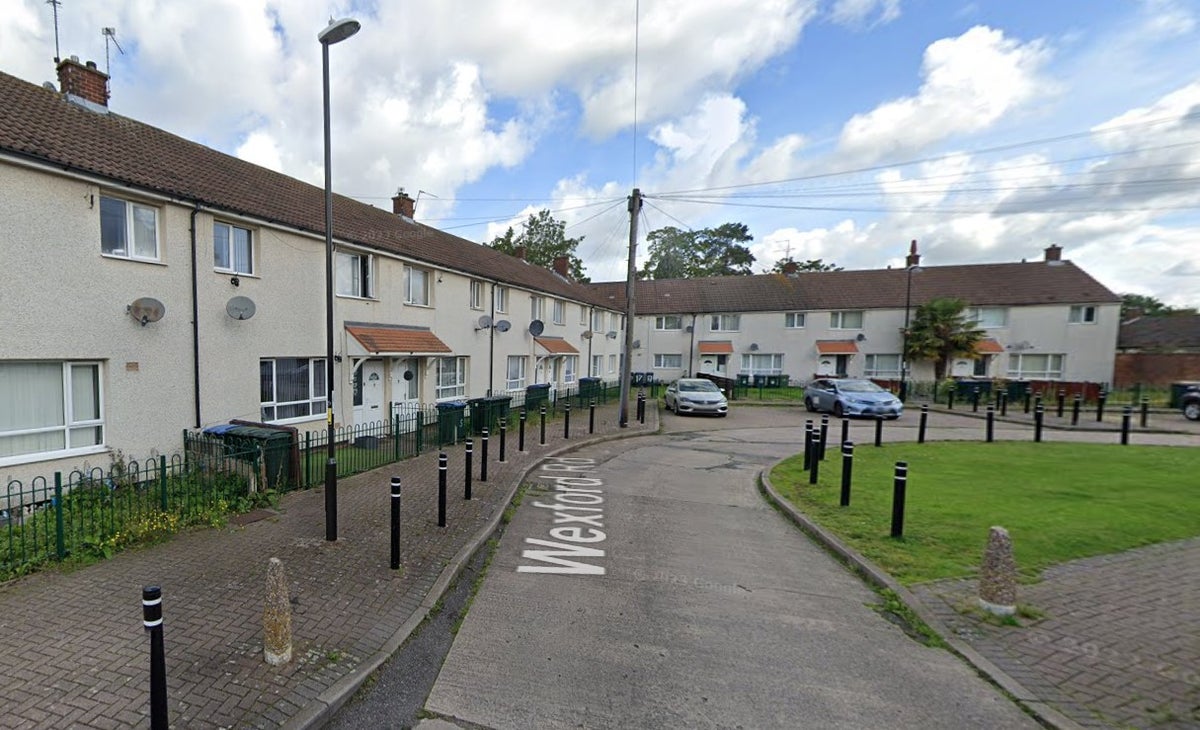 Woman in her 30s dies after attack by pet dog in Coventry