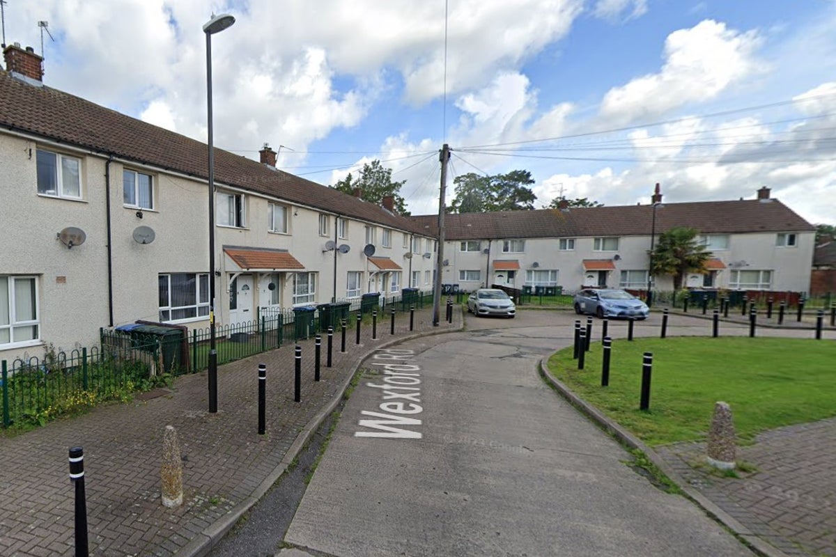 Woman in her 30s dies after attack by pet dog in Coventry | The Independent
