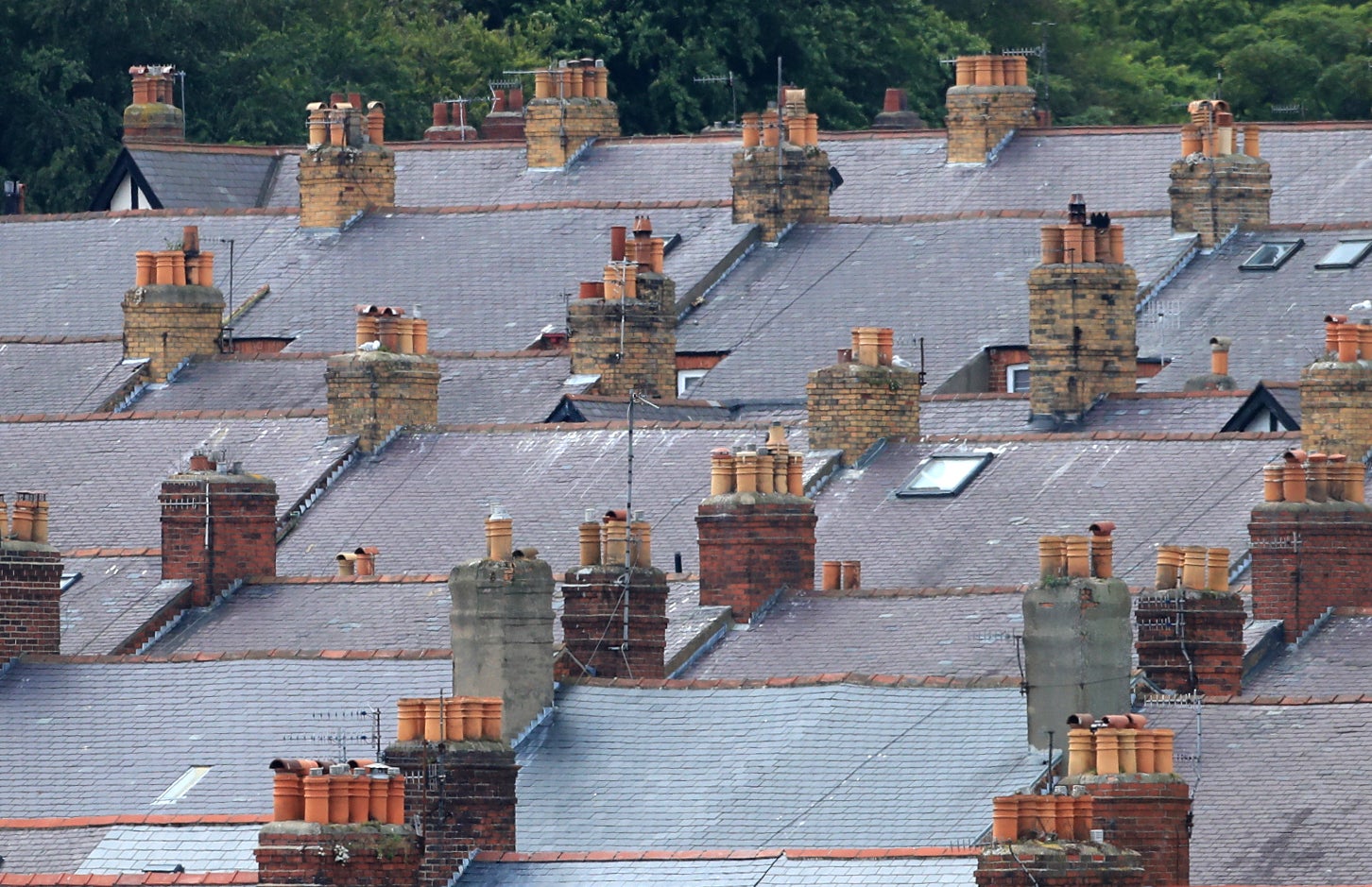 Almost half of private renters in England are living in homes that are cold, damp or mouldy, even in the summer