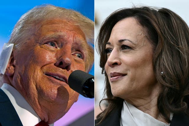 <p>Donald Trump has committed to going head-to-head with Kamala Harris, following her announcement as the likely Democratic presidential nominee</p>