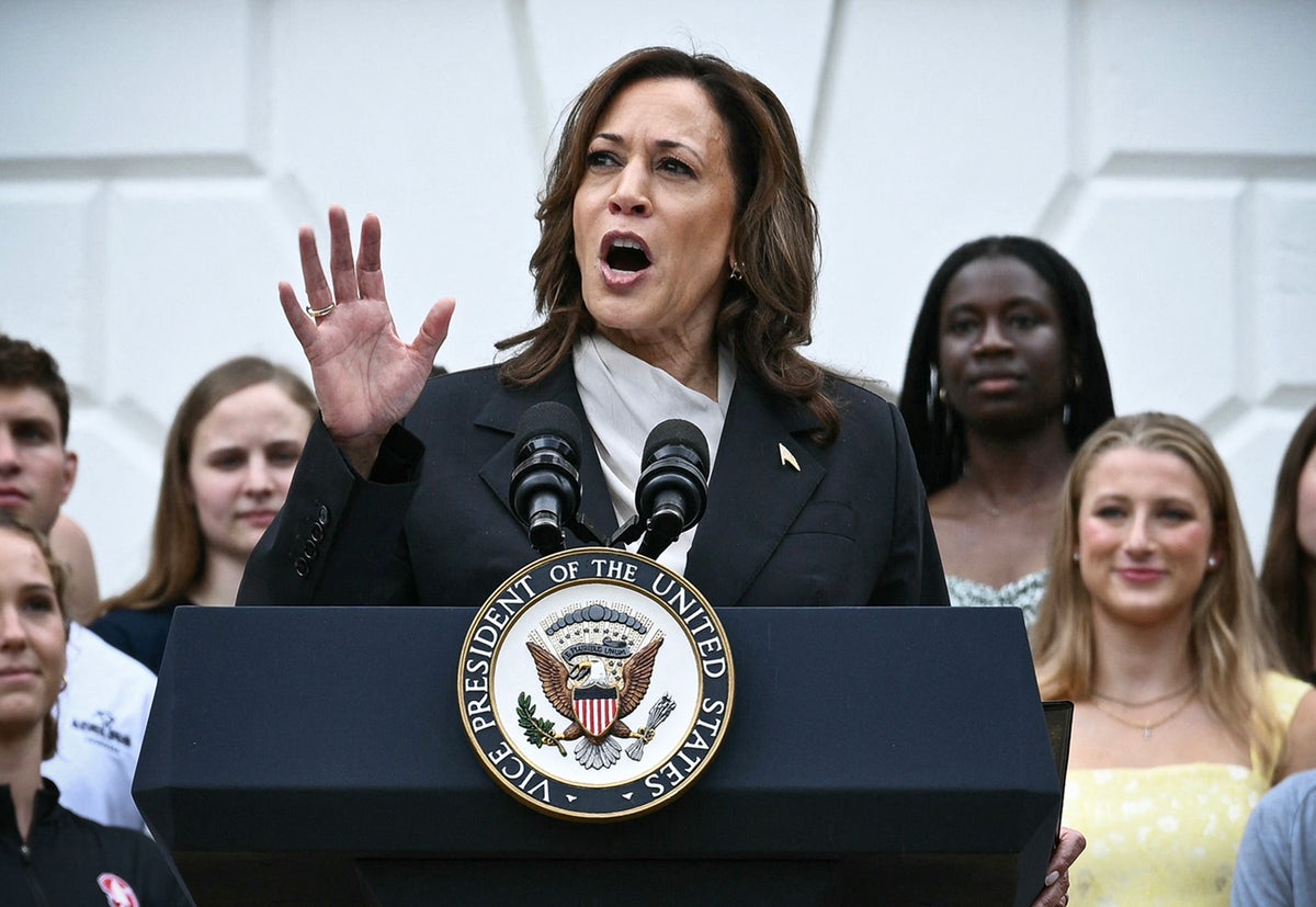 JD Vance’s sexist comments on ‘childless cat ladies’ like Kamala Harris go viral again