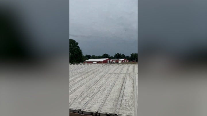 <p>Video: Representative takes to roof of Trump rally shooting to expose Secret Service failings.</p>