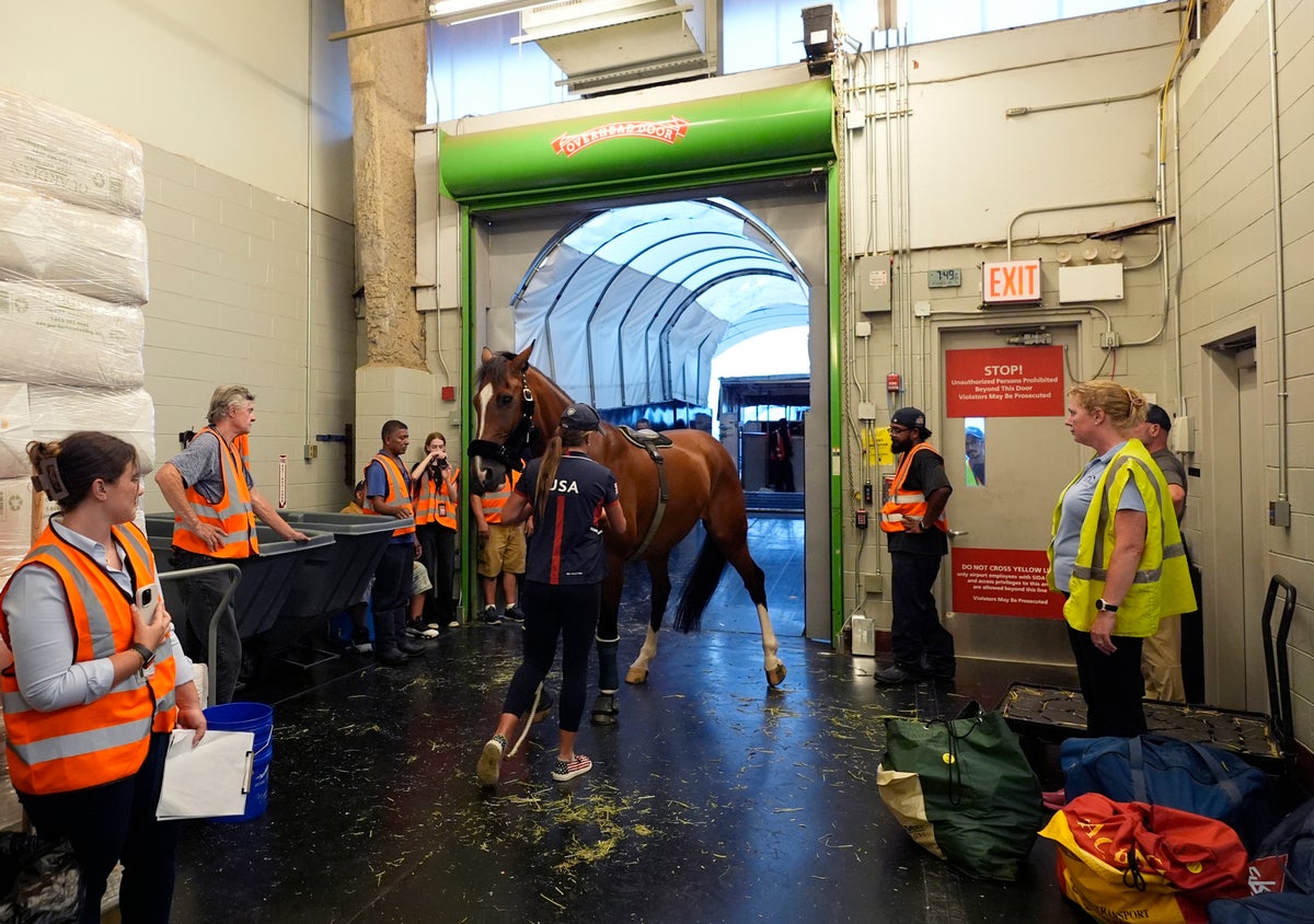Horses take to the air with passports and carryons ahead of equestrian eventing at Paris Olympics