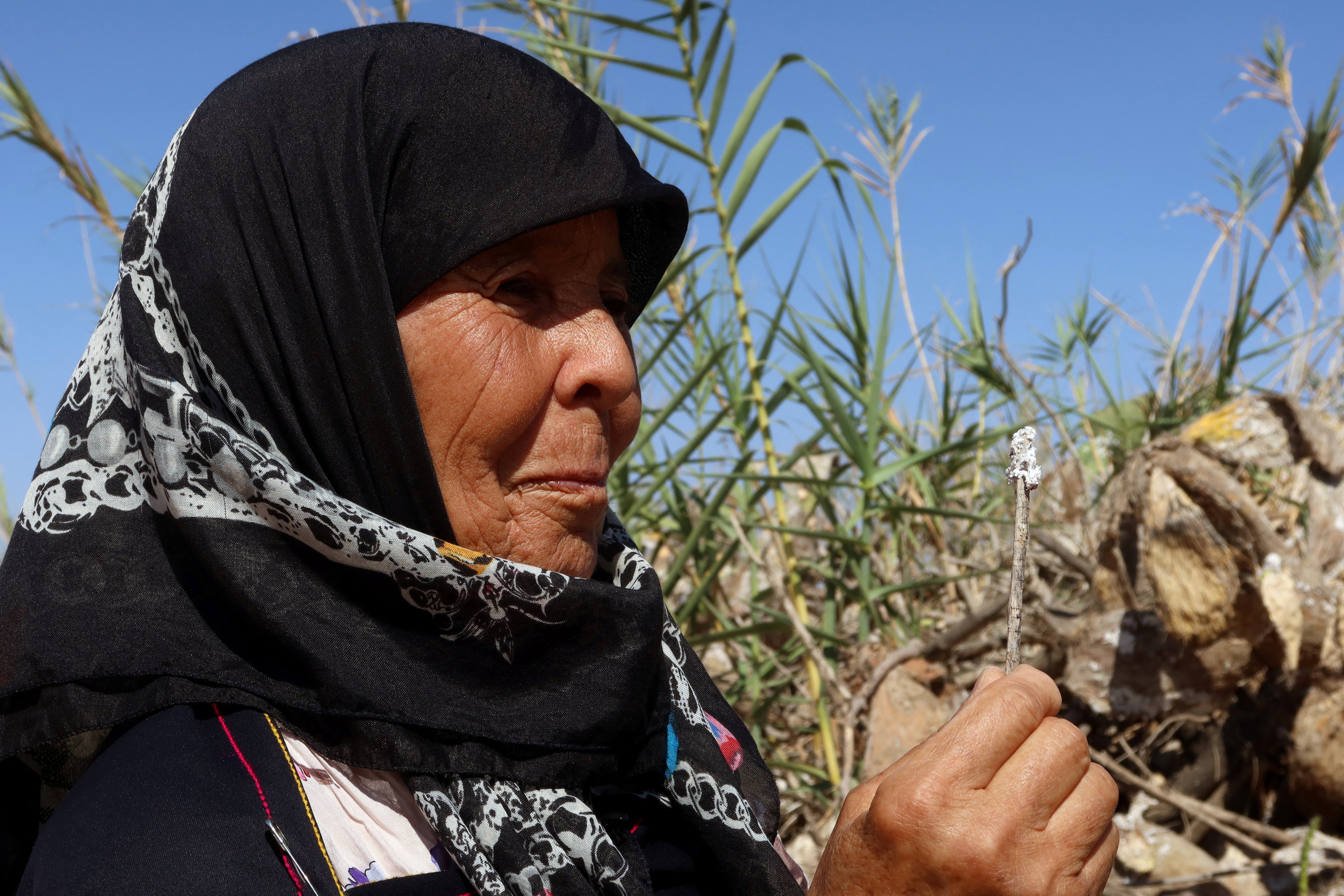 A Tunisian woman, Selma Jridi, stands near her prickly pear plantation infested with cochineal insects, in Sfax, Tunisia July 19, 2024