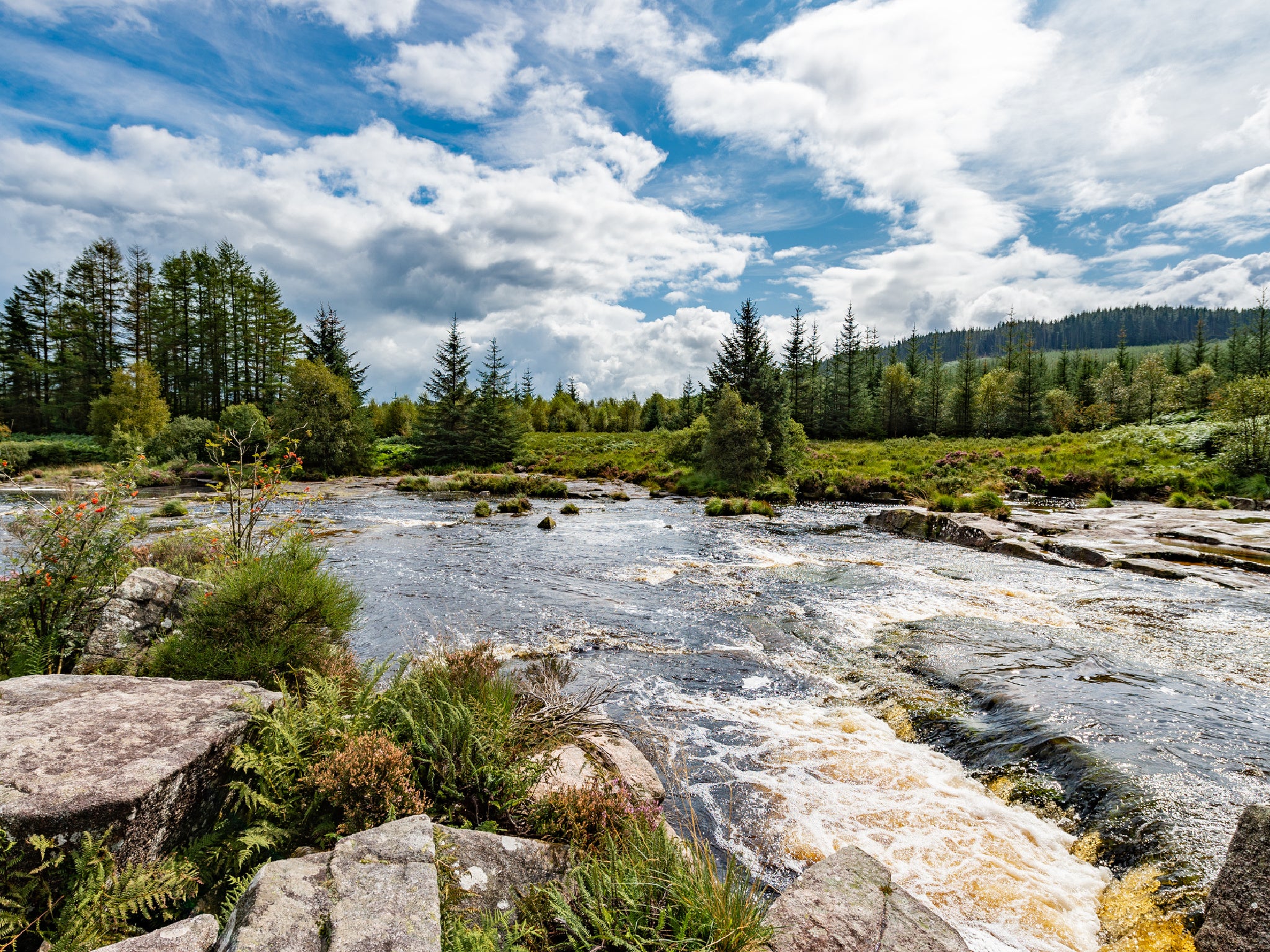 The Scottish government is committed to open a new national park by spring 2026