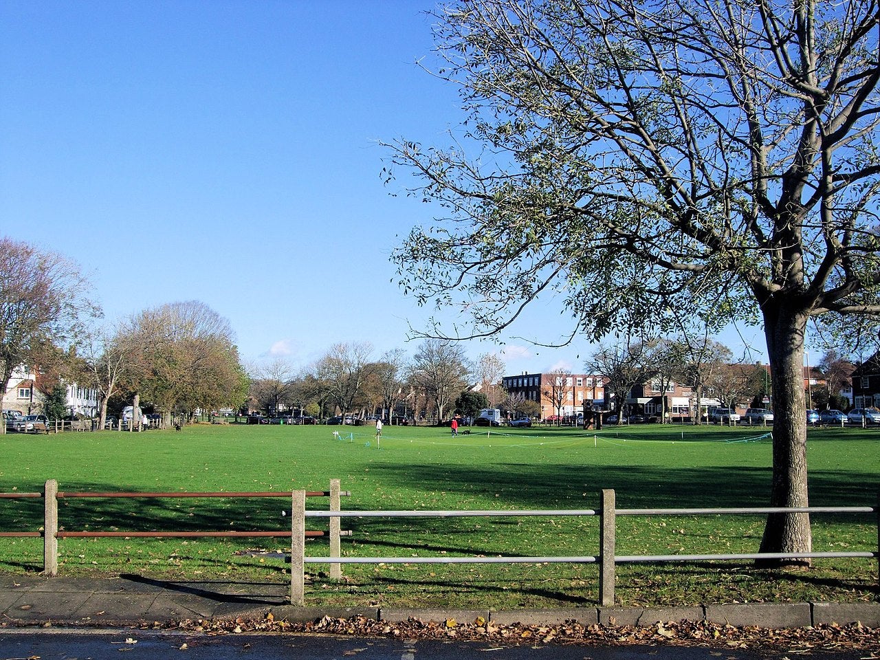 Southwick and Shoreham CC’s ground - The Green - is surrounded by houses