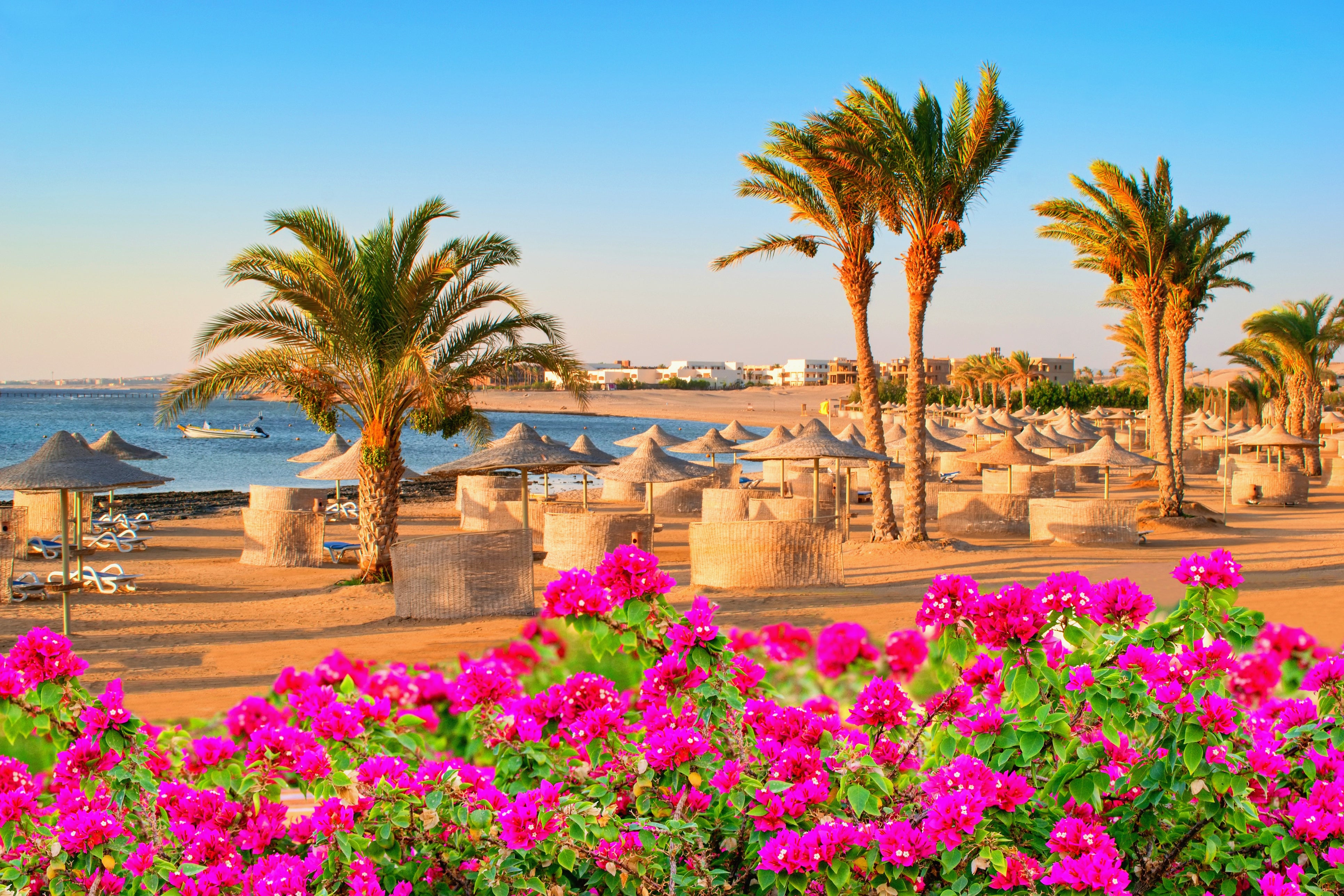 The beaches of Sharm el-Sheikh make for sunny bliss at the end of a cold British winter