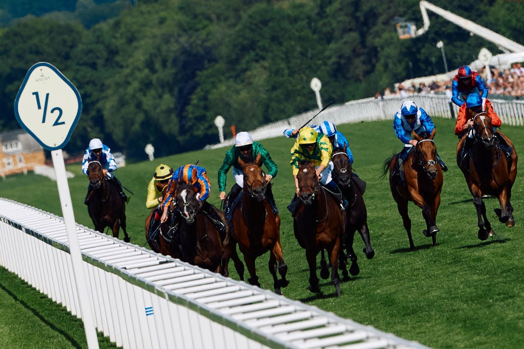 Auguste Rodin won on day two of Royal Ascot in June