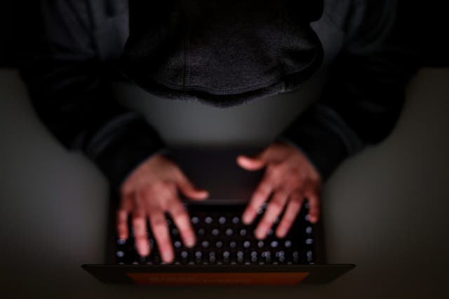 A watchdog said social media giants should be forced to be more transparent about whether foreign powers are behind posts on their platforms (PA)