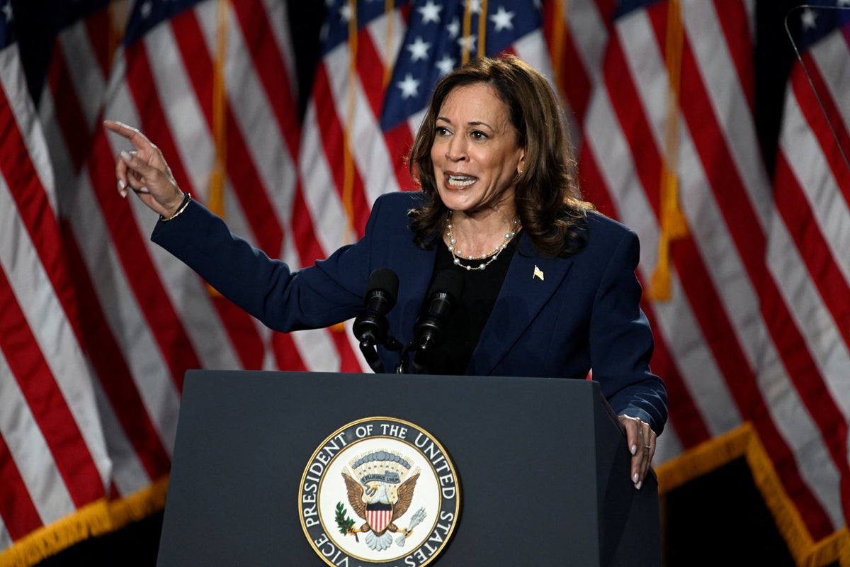 Harris says she knows ‘Trump’s type’ as she repeats attack line from prosecutorial past