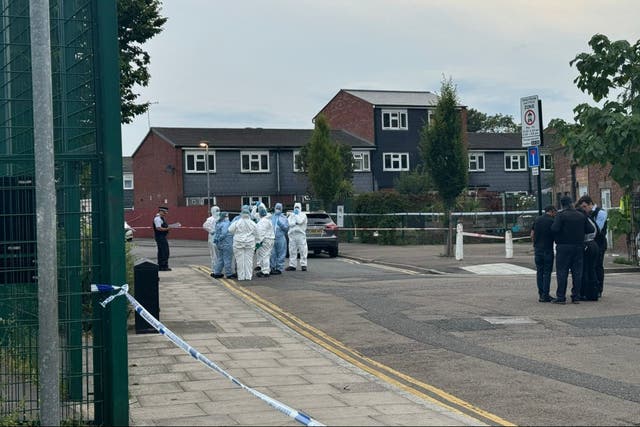 <p>Horror as schoolboy, 15, knifed to death in east London</p>