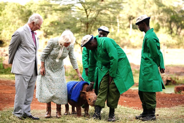 The trip by the King and Queen to Kenya in late autumn 2023 was the most expensive royal trip of the year to March 2024 (Victoria Jones/PA)