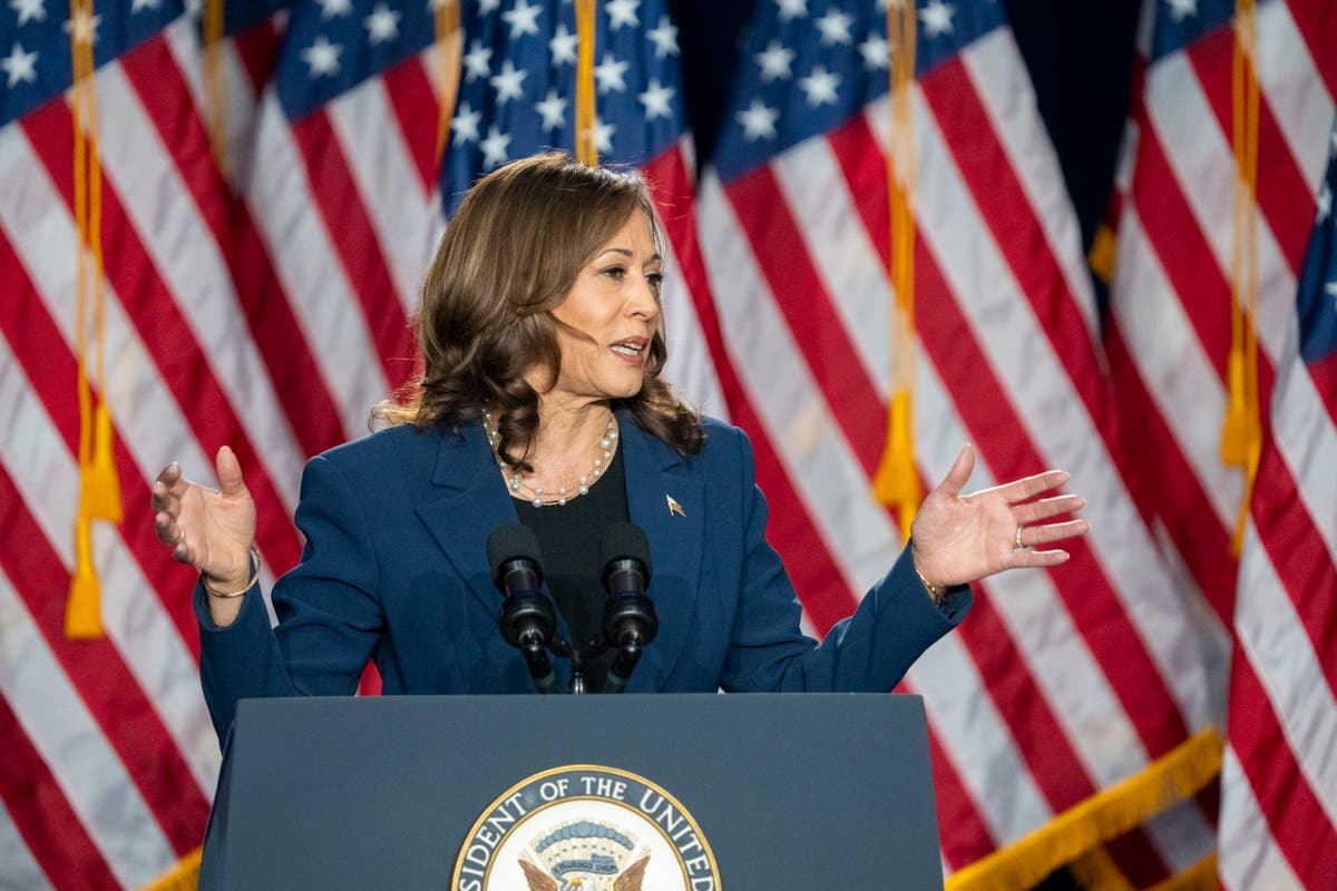 No, Kamala Harris doesn’t have any kids – but so what?