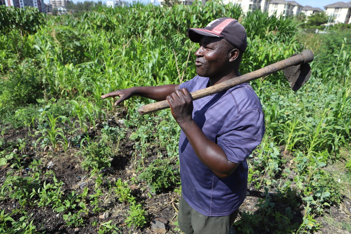 Farmers in Africa say their soil is dying and chemical fertilizers are in part to blame