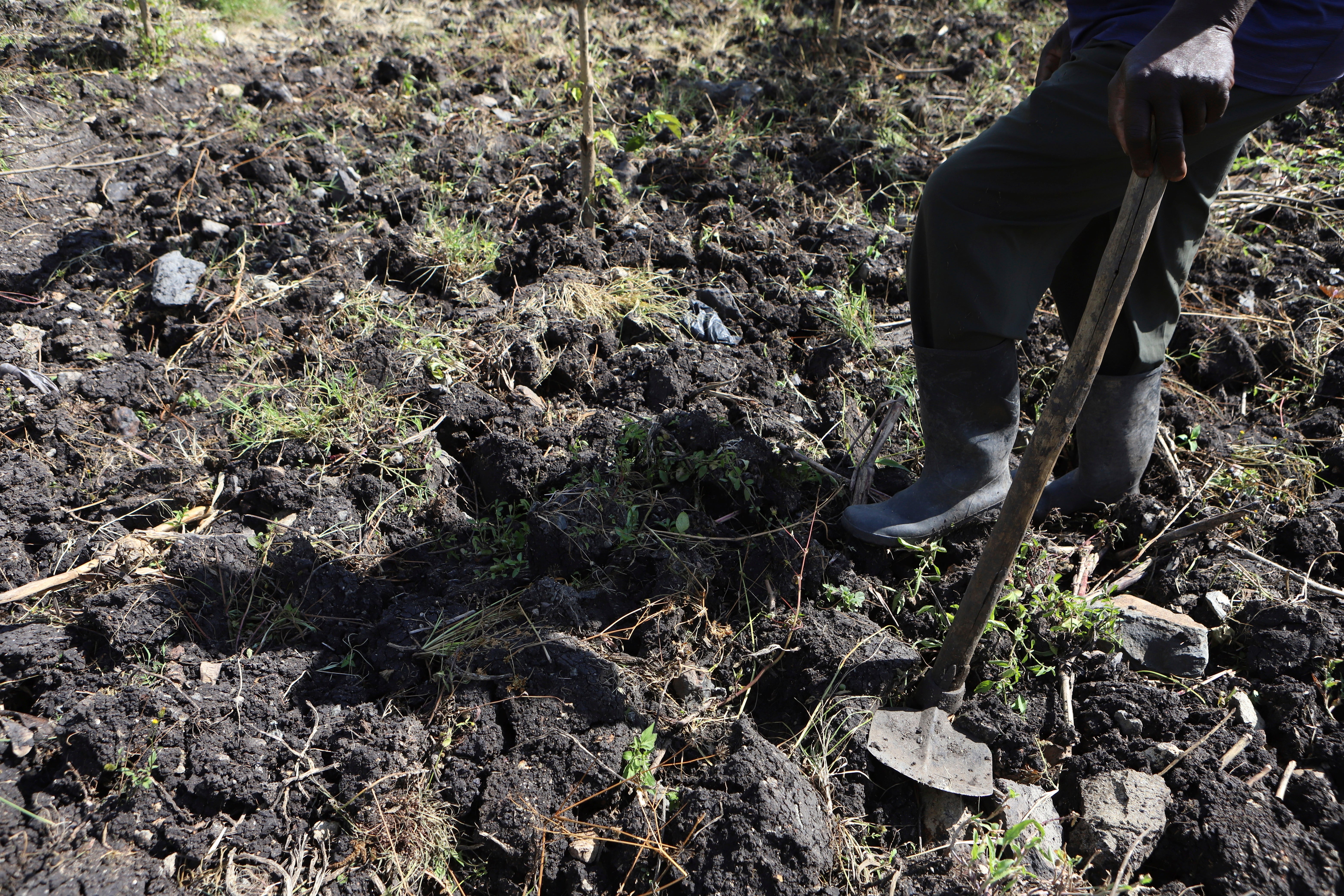 Kenya Dying Soils