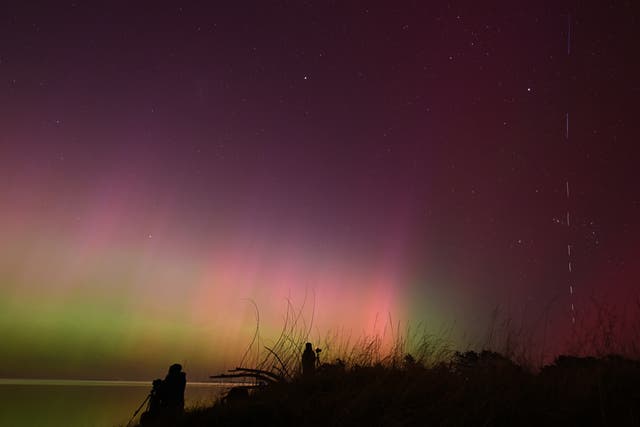 <p>Movement of Starlink satellites (R) are seen as photographers take pictures of the Aurora Australis, also known as the Southern Lights, glow on the horizon over waters of Lake Ellesmere on the outskirts of Christchurch on 11 May 2024</p>