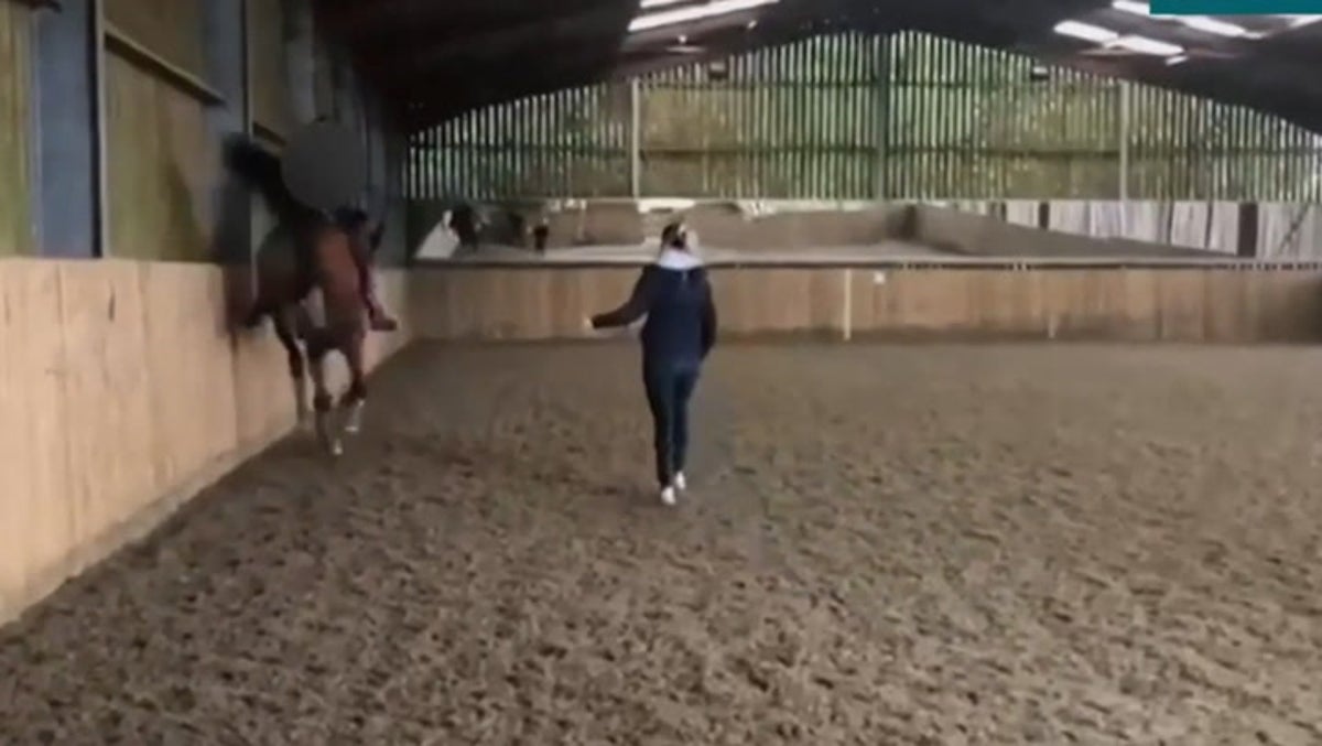 Video shows Charlotte Dujardin repeatedly whipping horse as she drops out of Olympics