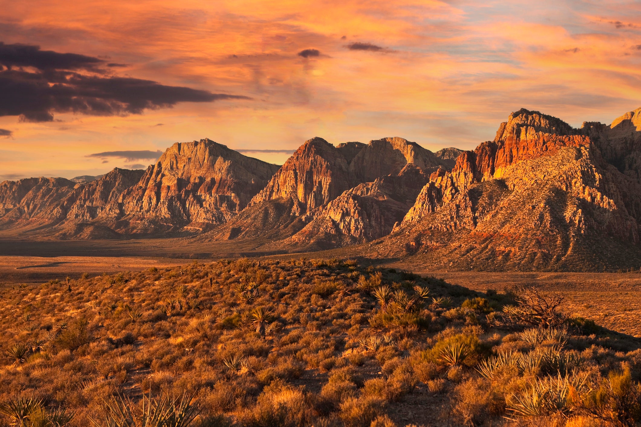 Escape the city for some desert exploration