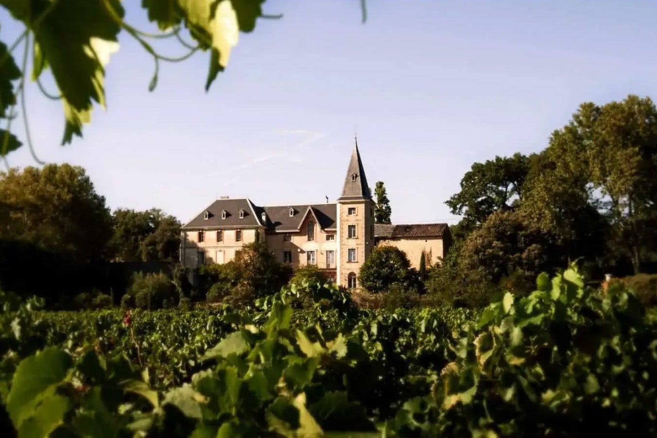 The vineyards of the southern Rhône are like an Impressionist painting come to life