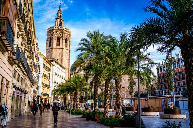 <p>The green city: Valencia Cathedral </p>