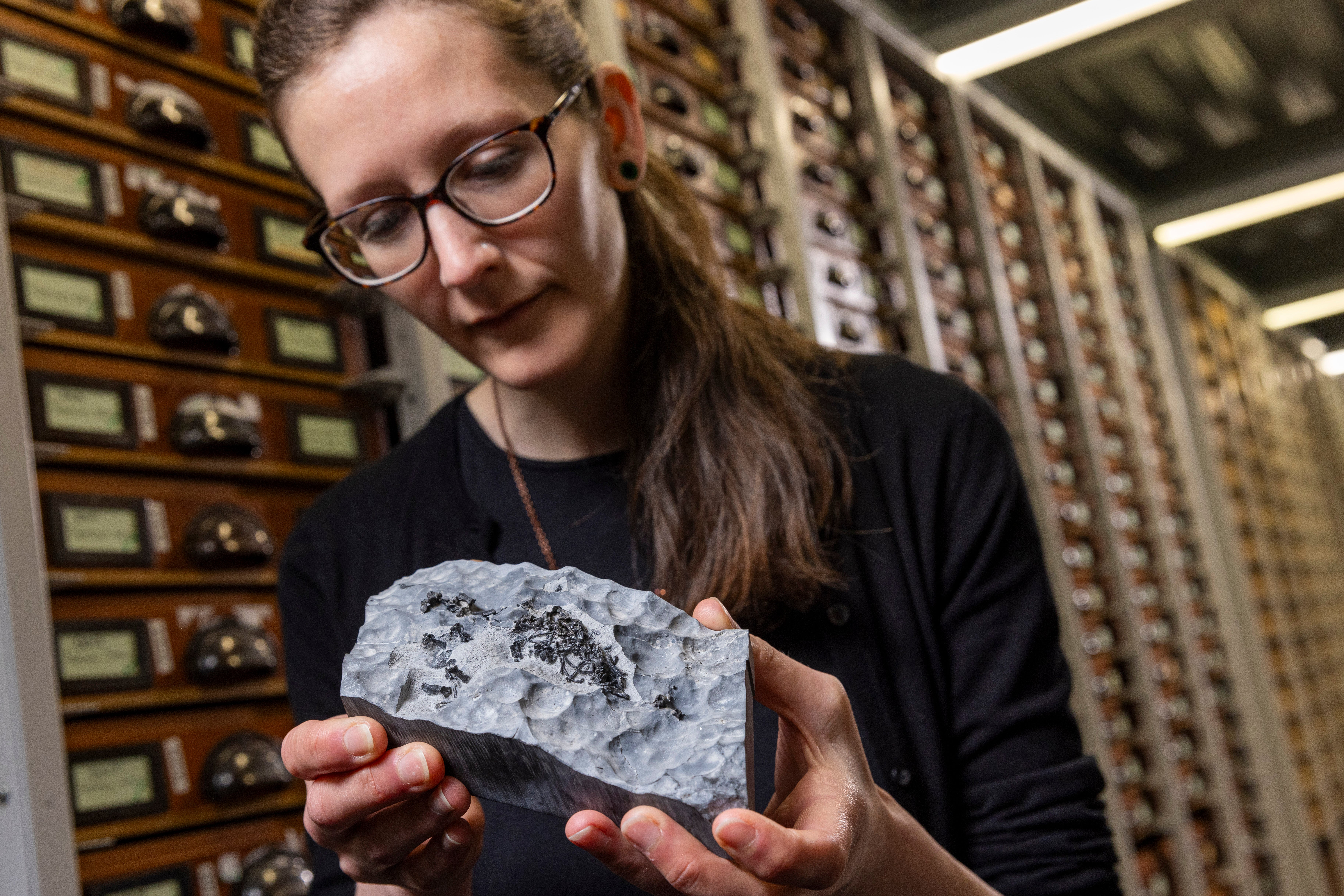 Dr Elsa Panciroli examining one of the fossils (National Museums Scotland/Duncan McGlynn/PA)