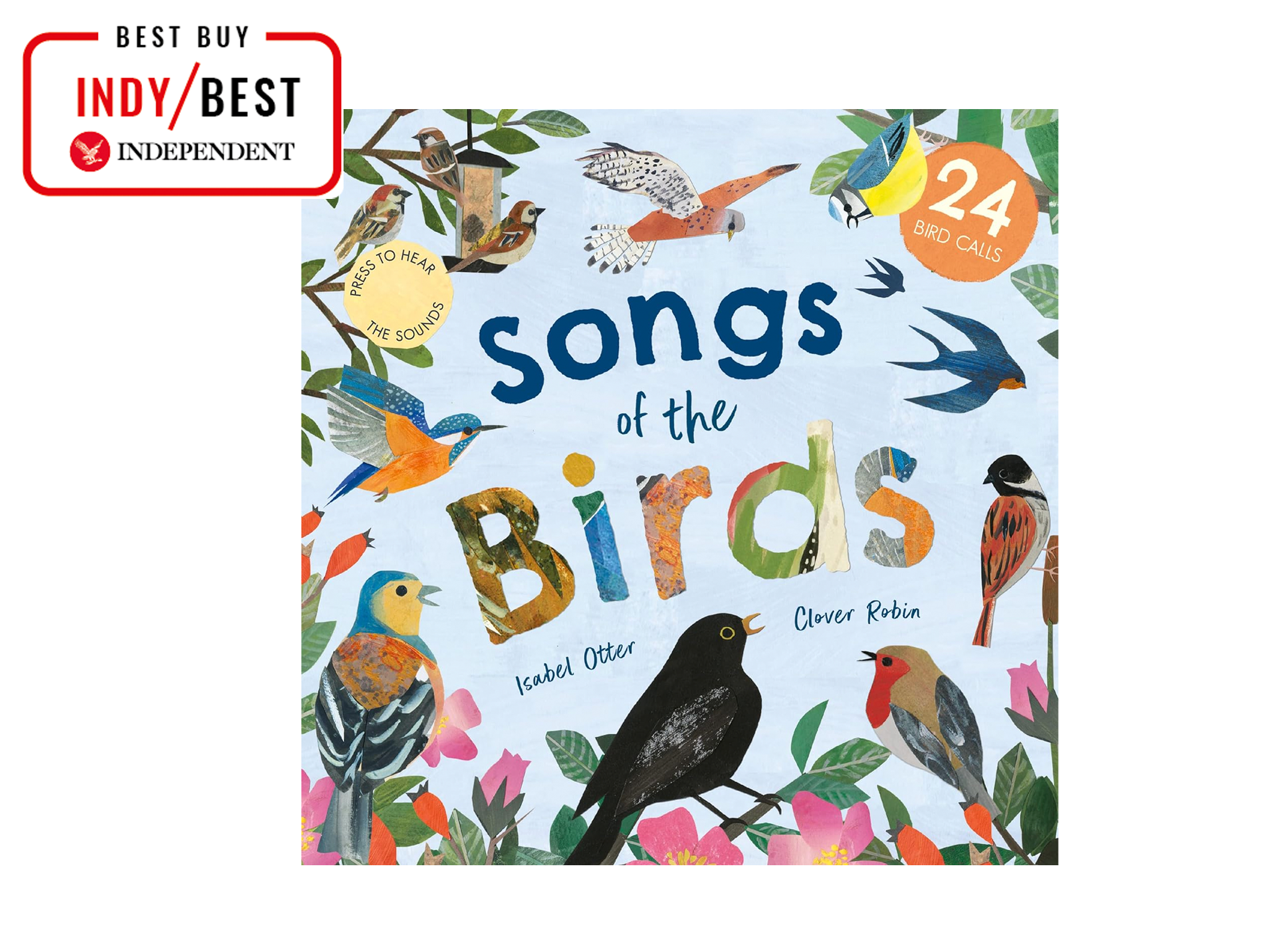 Songs-of-the-birds-best-non-fiction-book-for-kids-indybest