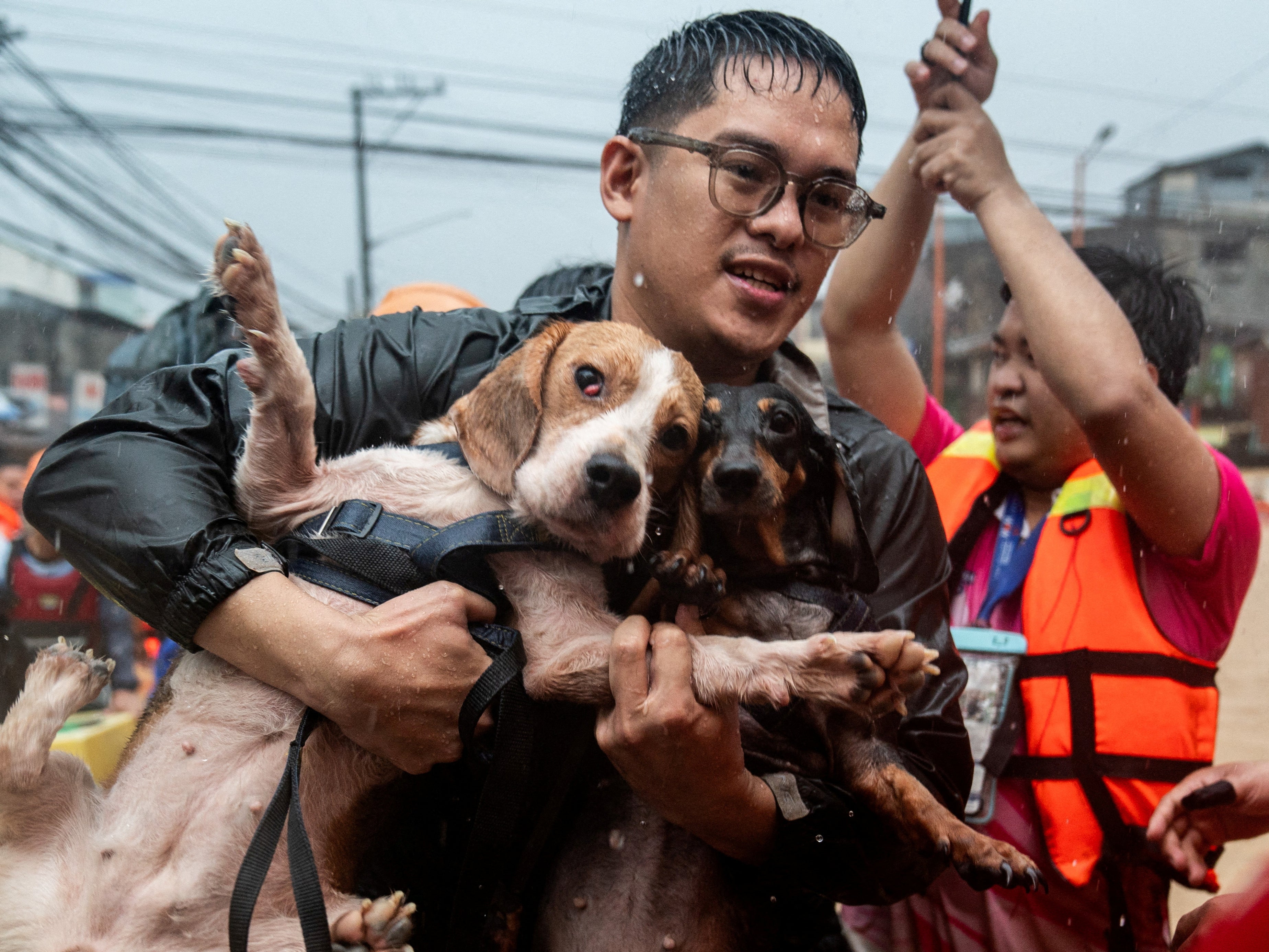 People took their pets with them as they took boats to escape floodwaters