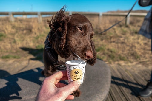 Mother sparks debate over getting a Starbucks pup cup for her daughter