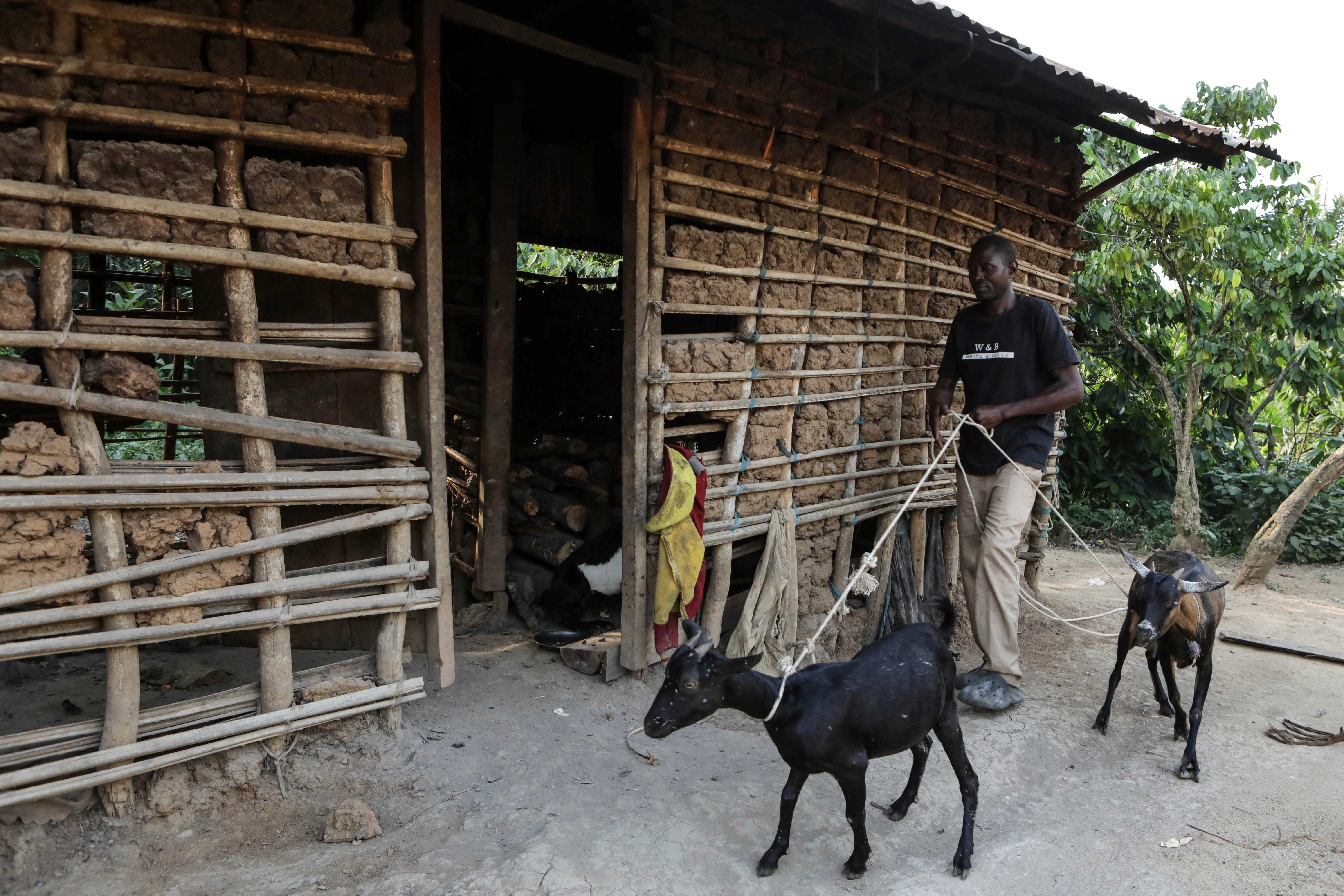 Uganda Domestic Violence