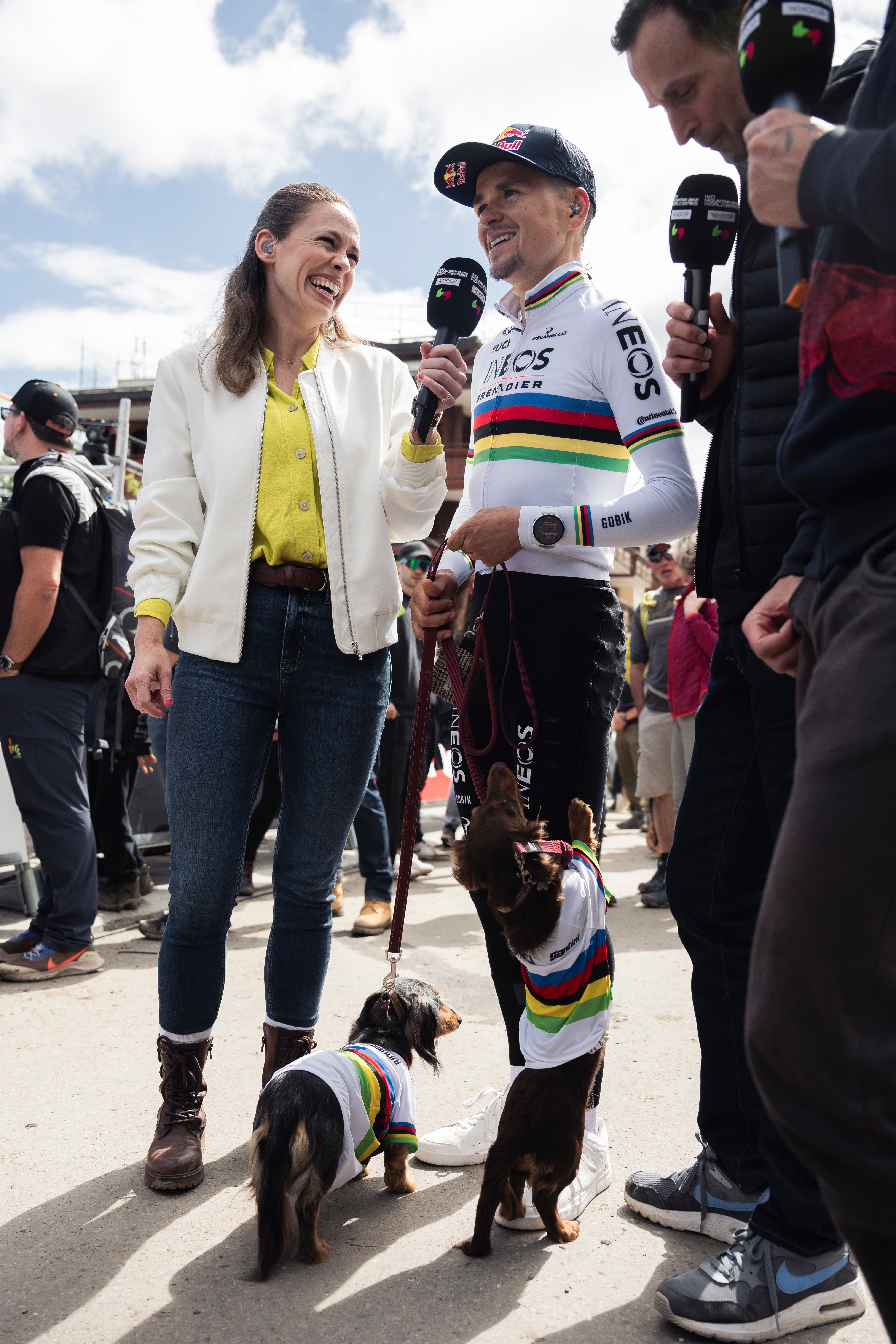 Tom Pidcock’s dogs Chestnut and Acorn are regulars at race finishes (Red Bull)