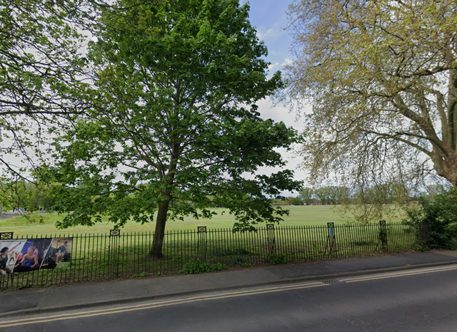 <p>Police are trying to determine whether the organs found in Rosehill Park, Sutton, are human </p>