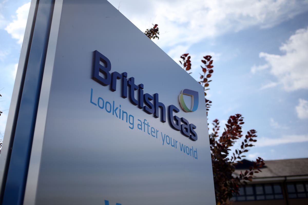 British Gas owner’s profits fall from record highs amid more ‘normalised’ market