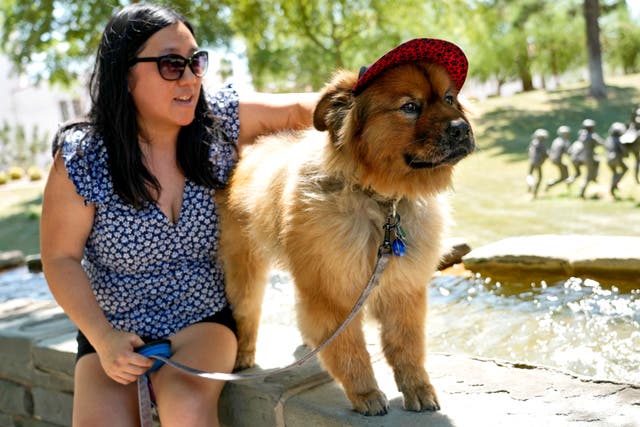 <p>Pets Beat The Heat</p>
