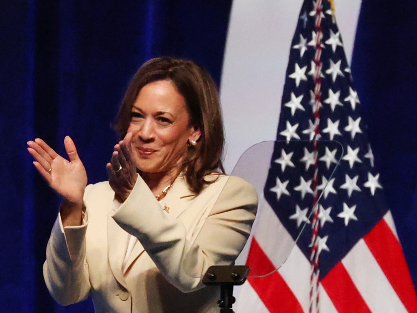 <p>Vice President Kamala Harris </p>