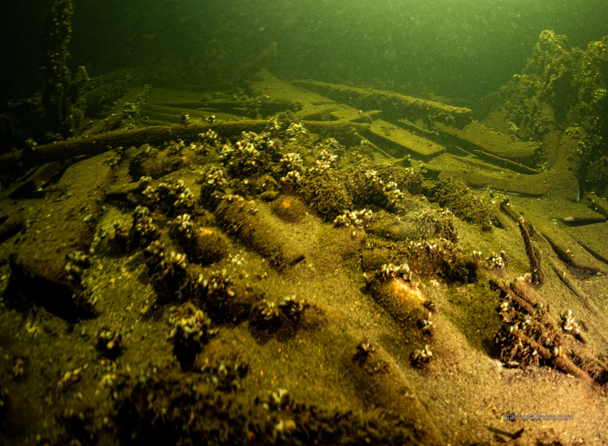 <p>Bottles of centuries-old champagne found on a shipwreck in the depths of the Baltic Sea</p>