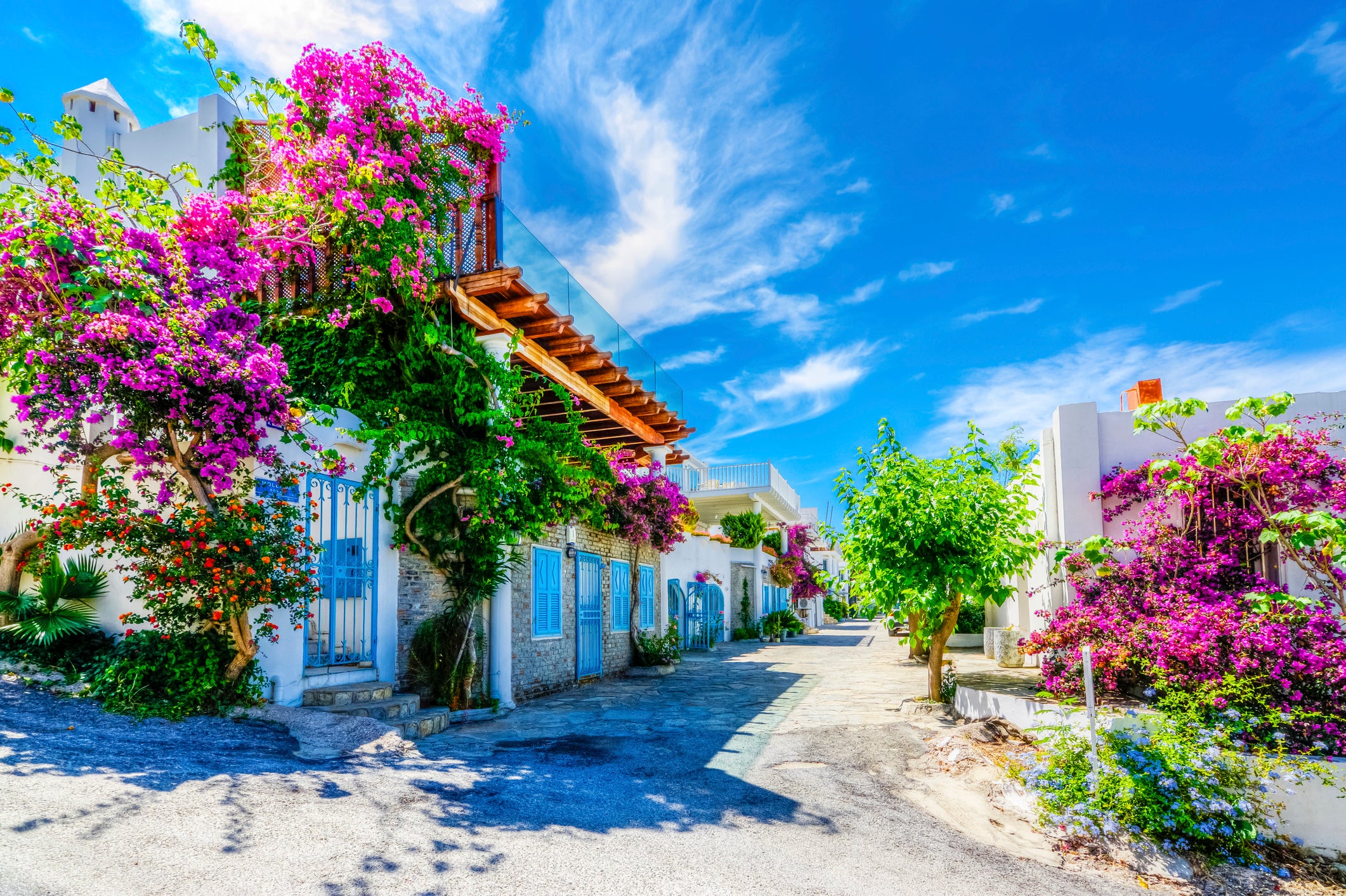 One of Bodrum’s colourful streets