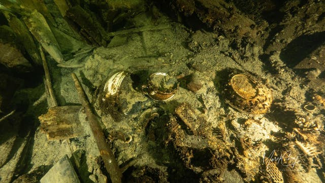 Poland Shipwreck Champagne