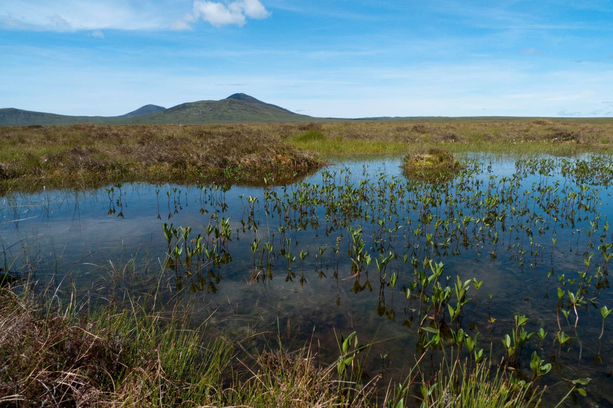 Scottish peatland joins Grand Canyon and Great Barrier Reef on prestigious list