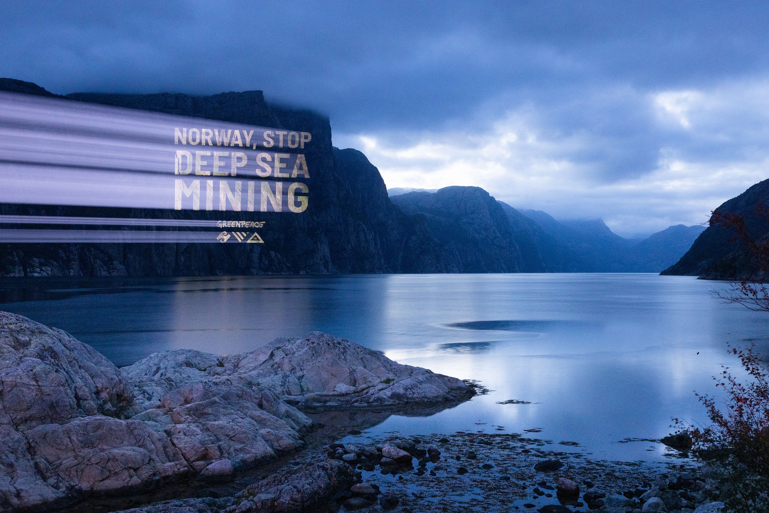Greenpeace to study marine mammals in Arctic area targeted for deep sea ...